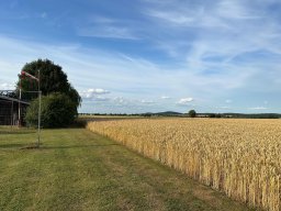fliegen04072025 2